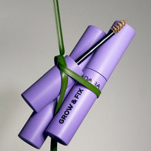 Load image into Gallery viewer, Madara GROW &amp; FIX Tinted Brow Gel
